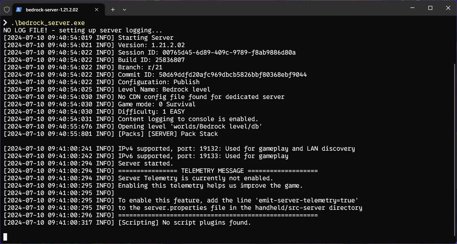 BDS 运行时的样子