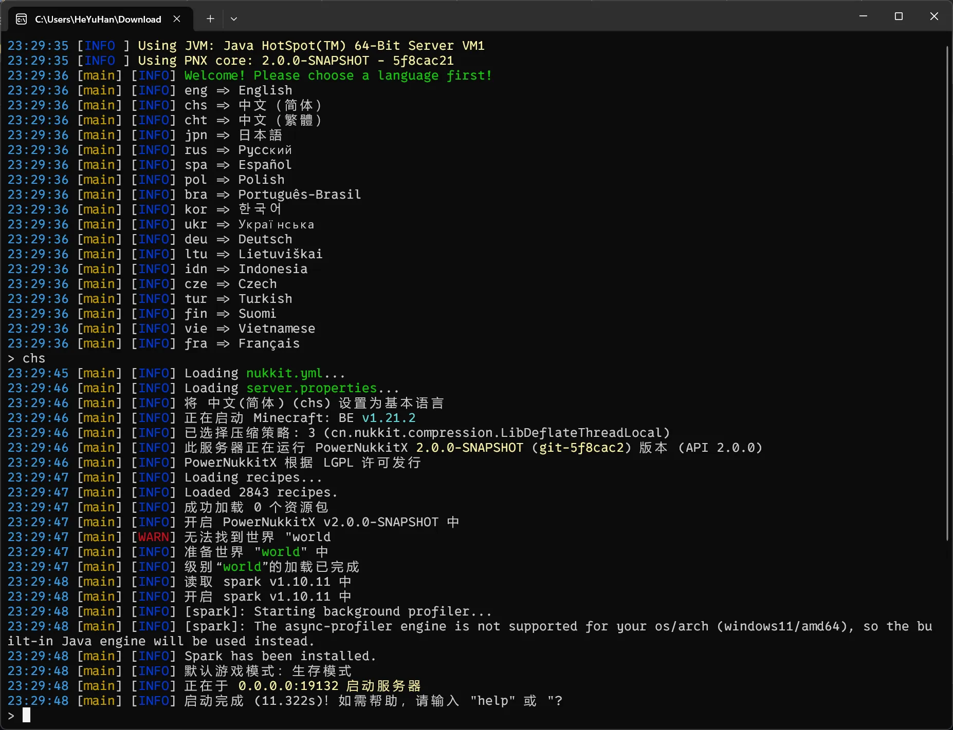 PNX 运行时的样子